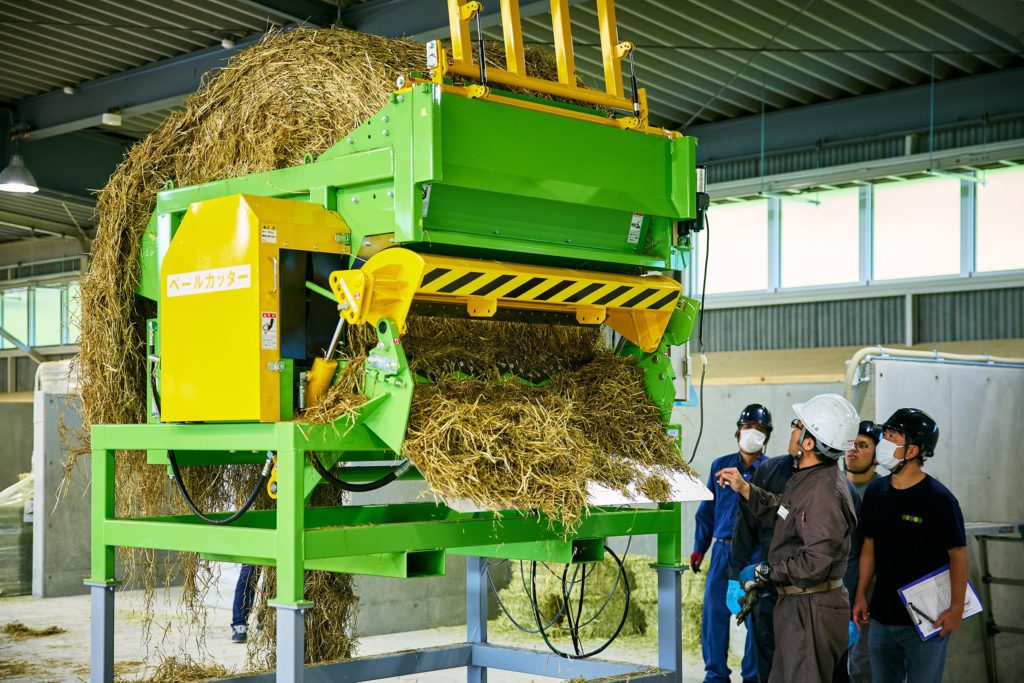 ロールで届いたイタリアンライグラスを食べやすいように裁断