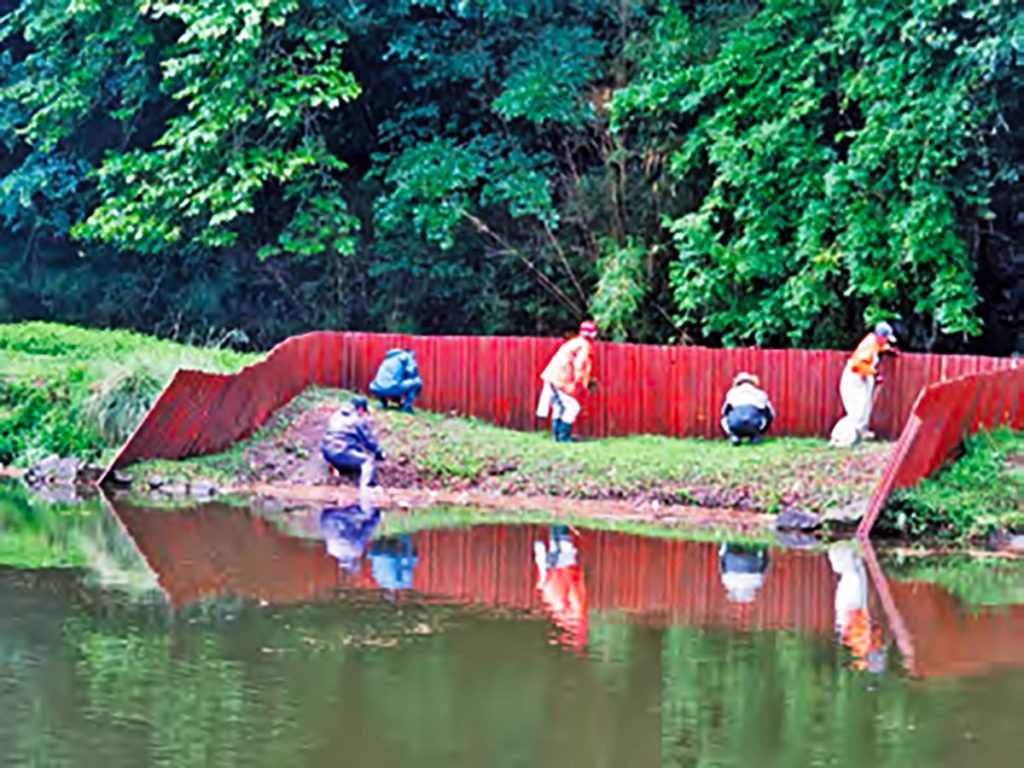 スッポンの産卵場整備